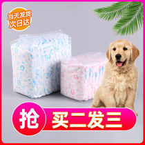 Pet Pooch Physiology Pants Public Dog Special Urine not wet mother dog physiological safe menstrual Kuteddy gold maurine not wet