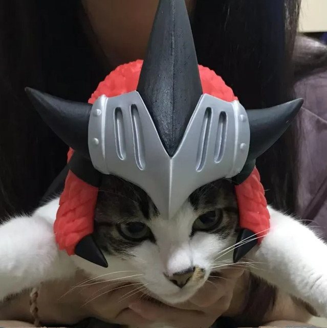 Monster Hunter World Fire Dragon Cat Hat Pet Cat and Dog Headgear Cosplay Props Headwear Decoration Peripheral Figurine