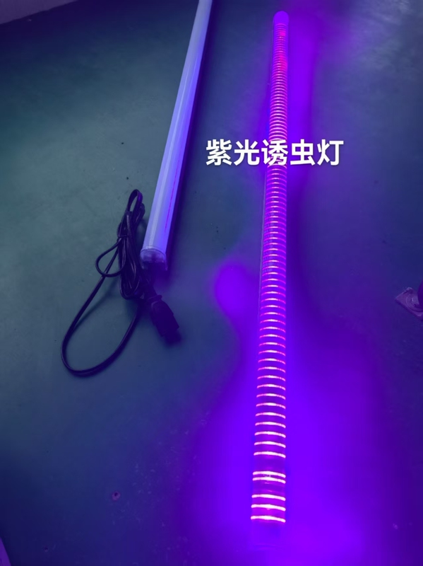 Insect Trap Purple Light Attracts Cicadas, Works with Batteries, Can Use 12V to 48V Batteries Insect Trap Purple Light Attracts Cicadas, Works with Batteries, Can Use 12V to 48V Batteries