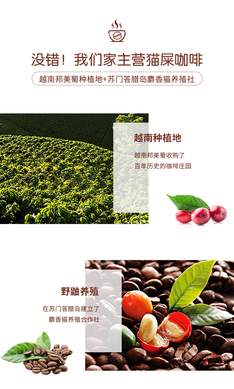 日本 KOPILUWAK COFFEE 野鼬咖啡 280ml*6瓶装 图3
