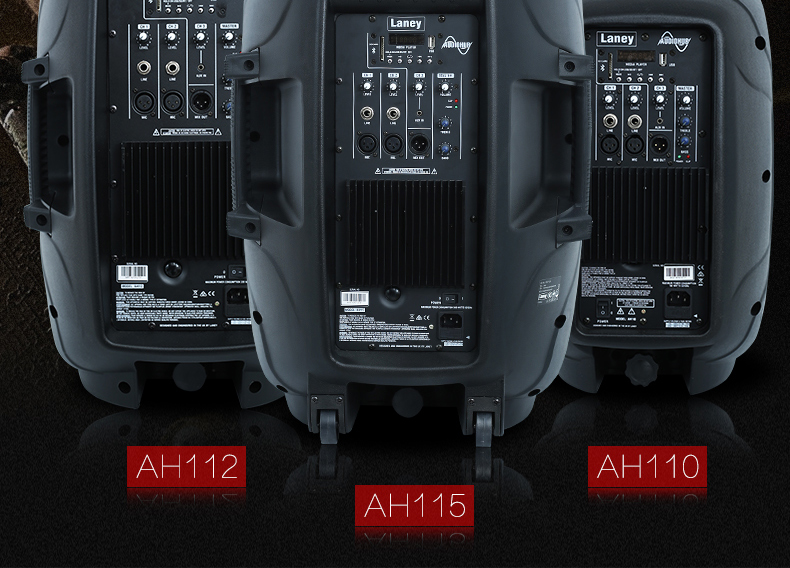 Lenny Laney AH110 AH112 AH115 tổng hợp trống điện guitar bass đa chức năng loa - Loa loa loa kẹo kéo jbl