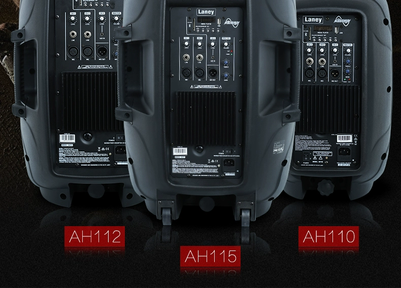 Lenny Laney AH110 AH112 AH115 tổng hợp trống điện guitar bass đa chức năng loa - Loa loa