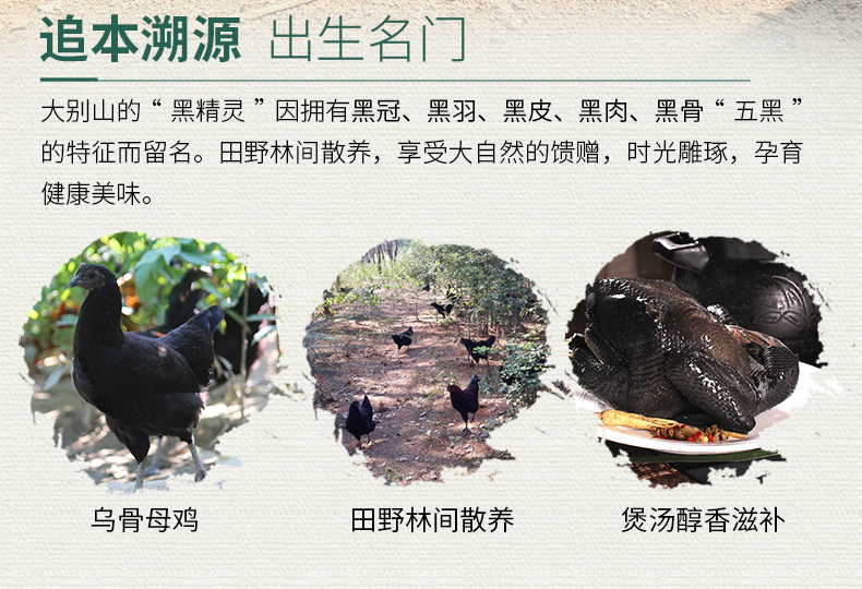 缘琳山 大别山散养 金蝉乌骨鸡 净重 2斤 图5