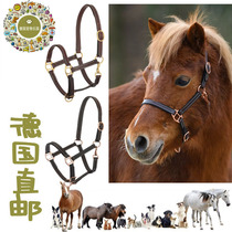 German direct mail high-end genuine leather wear-resistant knight suture bridle Shetland mini pony super soft and adjustable