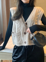 women's knitted vest autumn winter 2022 new vintage loose v-neck vest vest jumper foreign style outerwear sweater sweater trendy