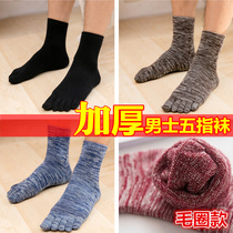 Lan Zixin autumn and winter thickened five-finger socks mens center Terry combed cotton thickened mens socks towel socks Cotton