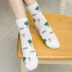 Vớ cotton ống xanh Zixin mùa xuân và mùa thu vớ nữ vớ cotton ống vớ nữ vớ bốn mùa vớ cotton thể thao tất nữ cổ ngắn dễ thương Bít tất nữ