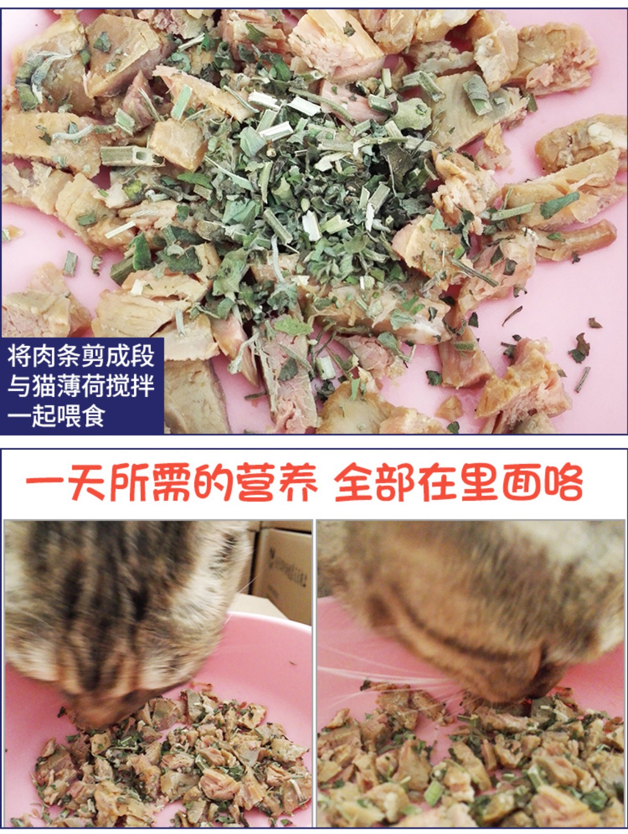 Tự nhiên catnip mèo ăn nhẹ mèo cỏ để bóng tóc bài tiết tóc bóng điều hòa dạ dày tăng cường miễn dịch 12g - Cat / Dog Medical Supplies thiết bị y tế thú y
