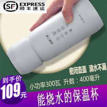 Single student Dormitory Travel Mini Burning Kettle Low Power Small Poop Type Touristic Insulated electric heating water glass