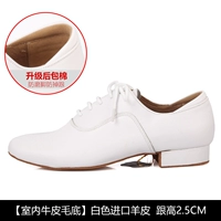 Белая импортная овчина обновленная версия крытых волос W31