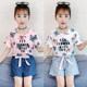 Girls Internet Celebrity Suit 2024 New Summer Clothes Girls Floral Short Sleeve Summer Fashion Medium and Big Children Shorts Set two-pieces