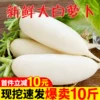 Товары от 二帅旗舰店