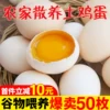Товары от 二帅旗舰店