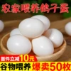 Товары от 二帅旗舰店