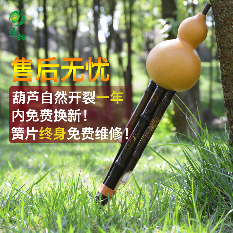 Dai Rhyming Natural Purple Bamboo Jiukong Hulusi Yunnan Musical Instrument Special Sale C Cut B Tone Recording Playing Type Hulusi