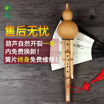 Dai Yun professional performance type nine-hole gourd silk wide range Golden bamboo C tune down B tune F tune Super seven-hole eight-hole