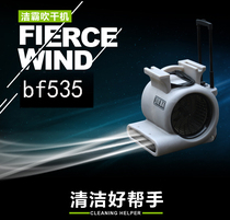 Jieba BF535 Hotel floor carpet three-speed hair dryer Hotel shopping mall Jiangsu and Zhejiang Shanghai