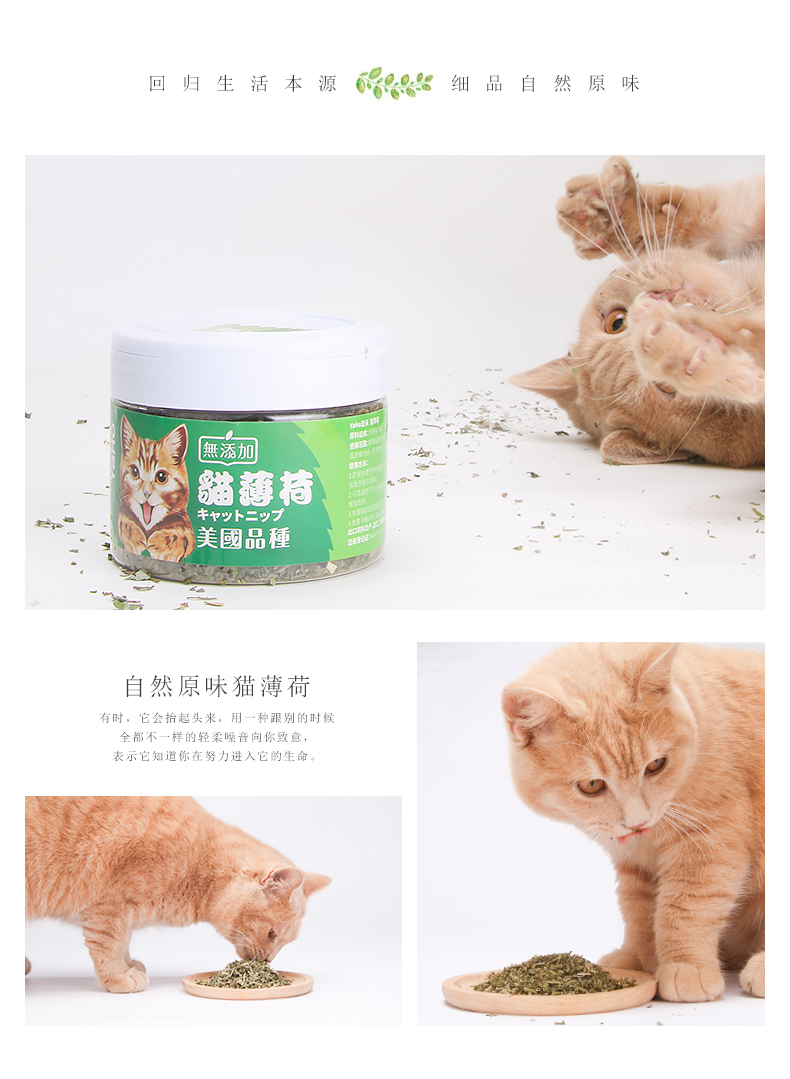 Cat Mint Yahe Cat Mint Powder Cat Grass Mint Leaf Cat Cat Cat Cat Giúp tóc bóng 250ML Đồ ăn nhẹ - Đồ ăn nhẹ cho mèo thịt spam