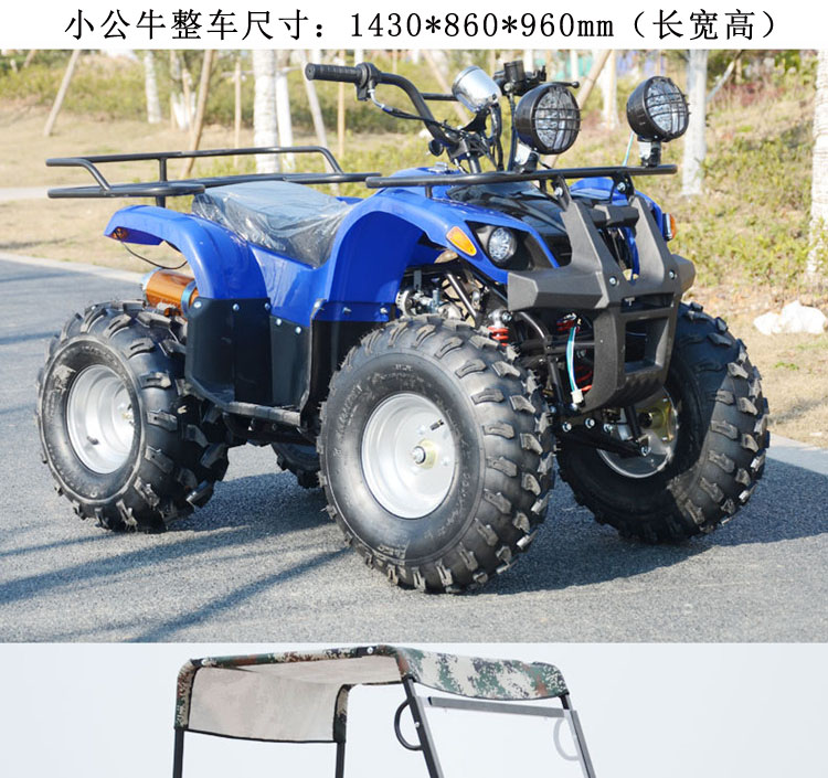 Big Bull ATV bốn bánh off-road xăng ATV đôi người lớn xe máy núi 250cc làm mát bằng nước