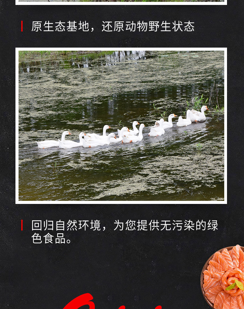 农家散养大鹅 净重7斤 现买现杀 保留内脏 图10