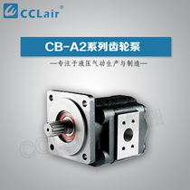 Rear side in rear exit gear pump CB-AL2050JCB-AR2040-B1PCB-A2063B2H2080 2