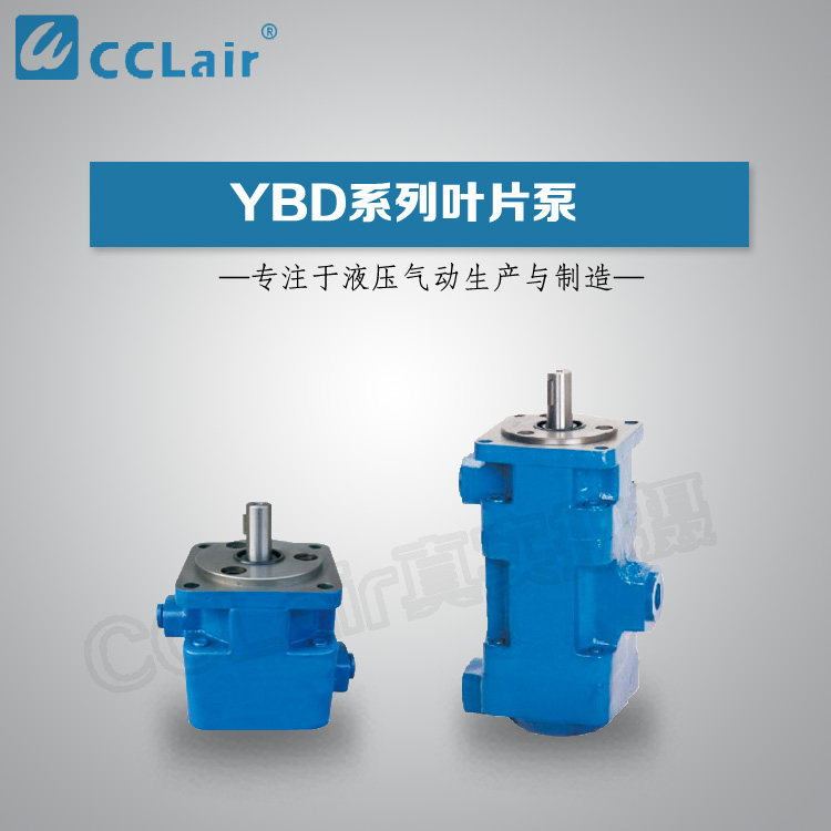 Vane pumps YB-D2 5 4 6 3 10 12 12 12 25 5YB-D16 25 32 32 50 63 80100 80100