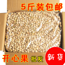 Salt Stun Original Taste Nut Bulk Snacks Dry Fruits Unbleached Pistachio 5 catties Big grain New stock