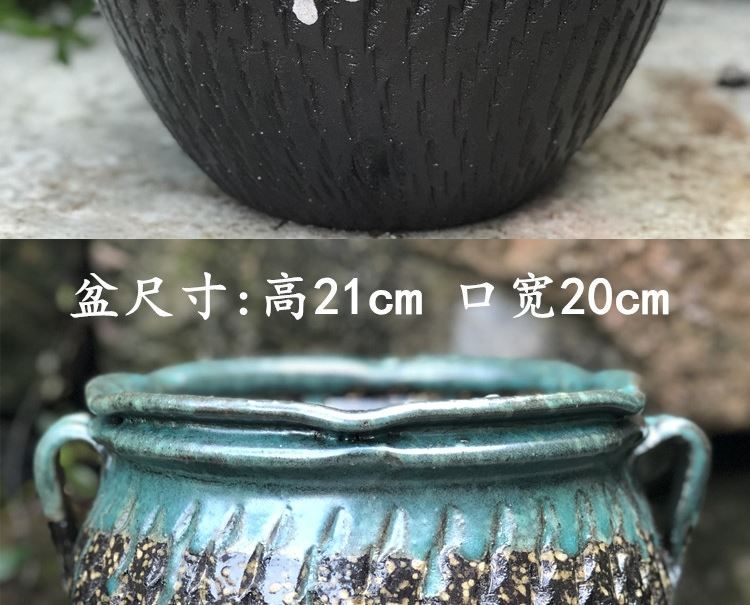 Manual coarse pottery flowerpot more meat large basin mage, zhuang zi retro POTS outside sitting room dry flower decoration flower pot