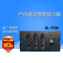 DL-T538 L-6 DXN-Q 55*32 Q type indoor high voltage live display with locking