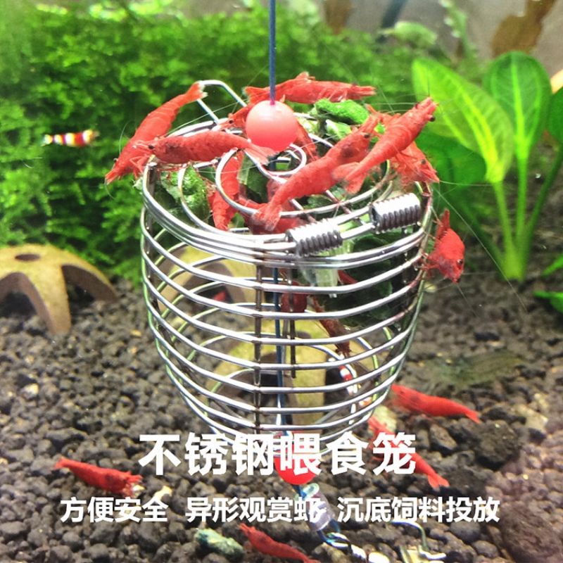 Crystal Shrimp Polar Fire Shrimp Feeding Machine Stainless Steel Spinach Dry Feeding Caged Water Family Benthic Fish Ornamental Shrimp Feeder