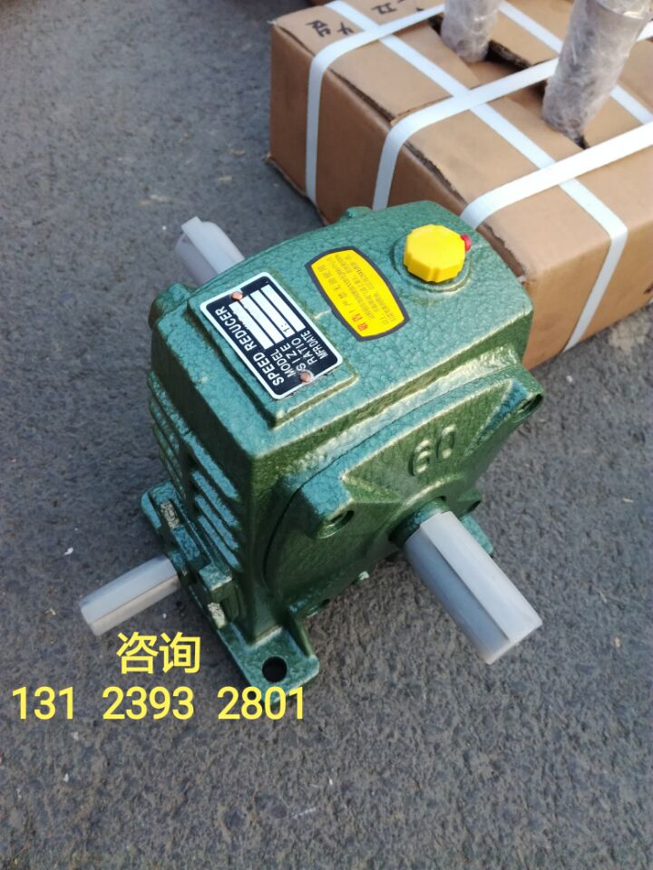 WPA WPS WPOWPX60 reducer Double shaft worm reducer Vertical horizontal iron shell reducer