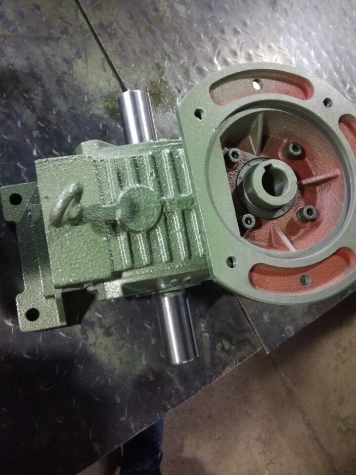 WPWDT80 100 double shaft reducer Worm gear worm reducer Iron shell wave box