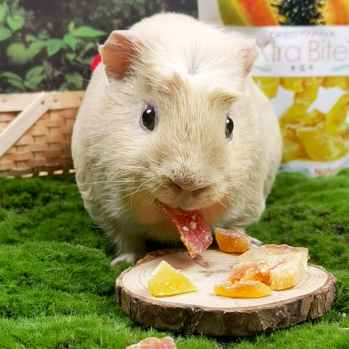 Бесплатная доставка Jolly Papaya сушеные закуски кролика Chinchilla Голландская свинья кормление морской свиньи зерна хомяка, чтобы помочь удалить волосы