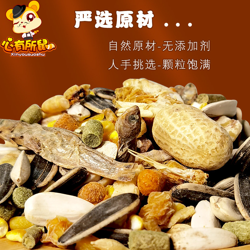 营养松鼠主粮大测评!含坚果蔬菜水果干+松子玉米瓜子,增肥神器真的香爆了!-饲料-淘宝好物网