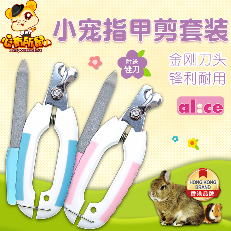 Alice Petite Nail Scissors Set Chinchilla Guinea Pig Rabbit Scissors File 2 Colors