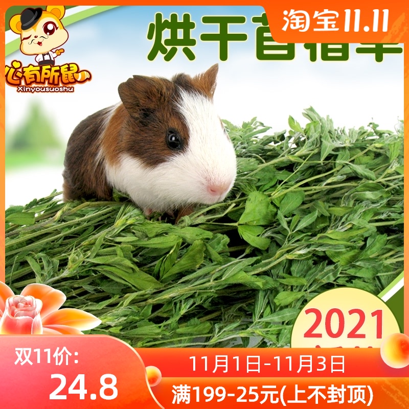 Dried alfalfa grass 2021 new grass rabbit grain feed guinea pig dragon cat grain Dutch rabbit hay pasture