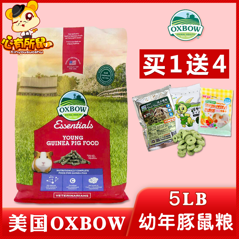 Oxbow Young Guinea Pig food 5lb Guinea Pig food Dutch pig feed Guinea pig staple food 2 25kg