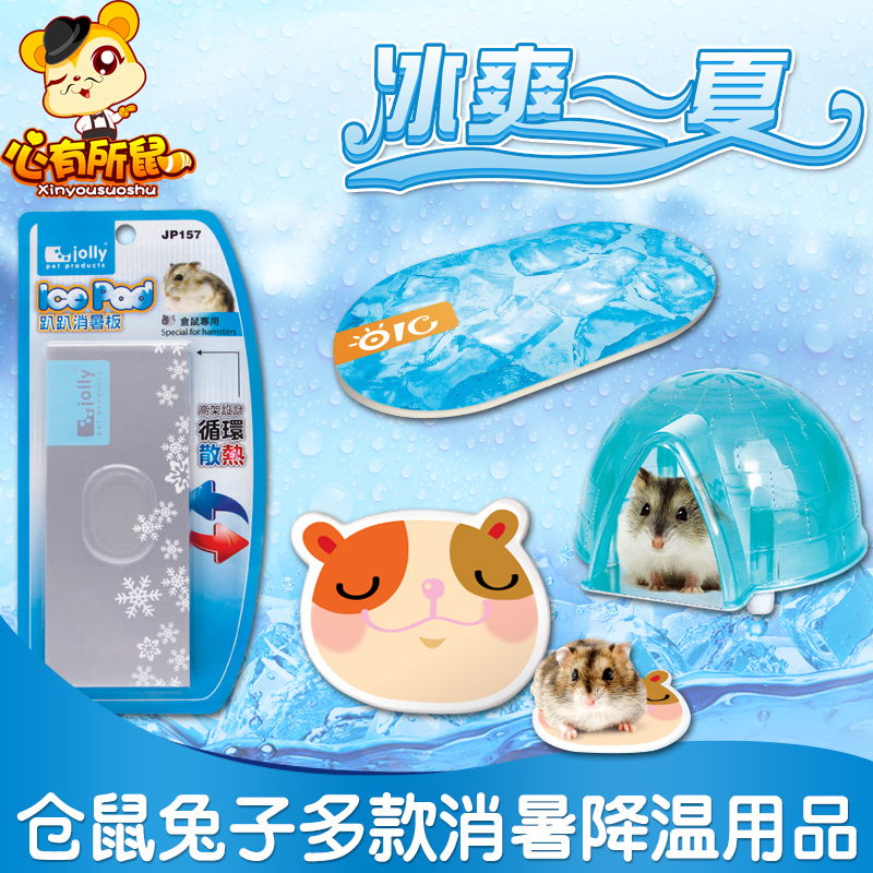 Hamster supplies Hamster cooling board Rabbit Totoro Guinea Pig Igloo Ice Pack Ice Pack Ice Bed Cooling Supplies