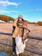 Northwest Xinjiang Tibet autumn and winter shawl Western Sichuan Yunnan wear travel outer wear Maillard women's thick scarf dual use
