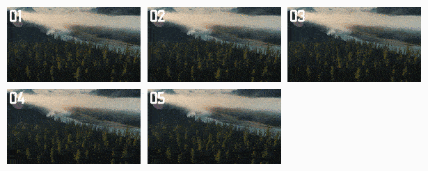 10007.gif
