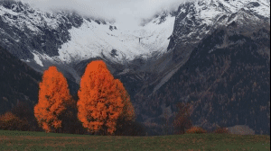 68747470733a2f2f646c2e64726f70626f7875736572636f6e.gif