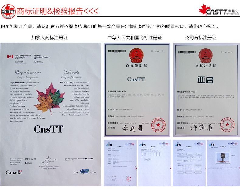 CNSTT Casetine Table Tennis