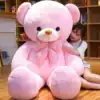 Ice Heart Bear Plush toy Bear Doll Hug Bear Girl Day gift Cute ragdoll doll Teddy Bear