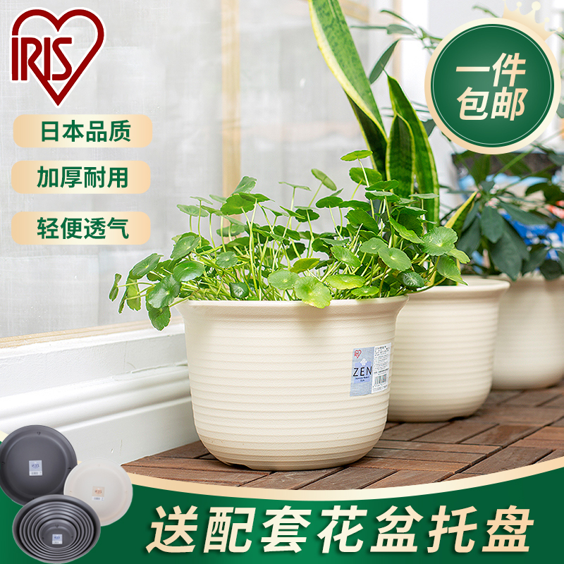 Alice flower pot with nursery tray plastic high size Nordic minimalist resin IRIS small flower pot multi-broccoli