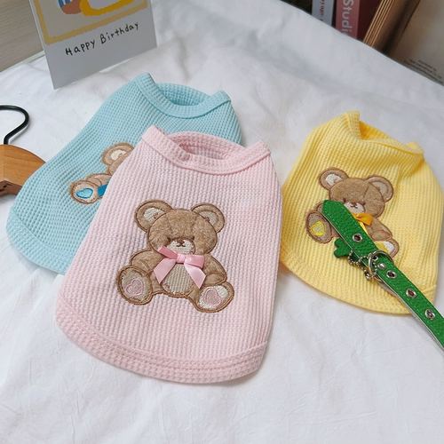 Медведь цветок домашняя собака собака плюшка