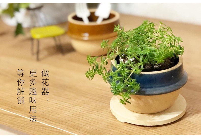 Иморт из японии ЦУКАМОТО Запеканка Масико-яки человек Приготовление рисоварки микроволна крышка Горшка 