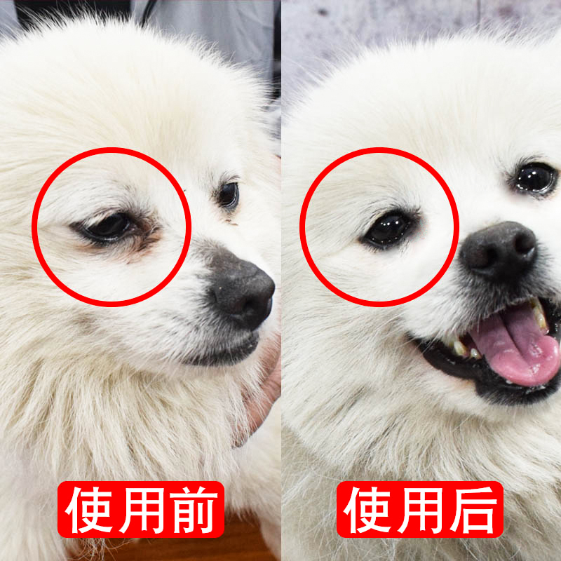 Pet Wash Eyes Teddy Kimo Beaume Pooch Supplies Kitty with eye drops cat eye drops cleaning supplies