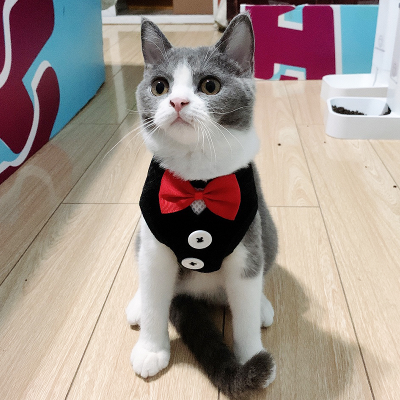 Cat traction rope anti-breakaway special fat cat rope walking cat rope vest type tie kitten rope cat chain outing supplies