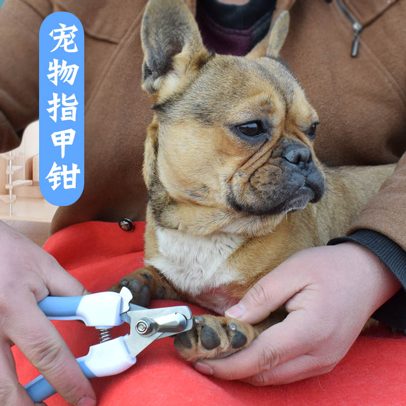 Dog nail scissors cat nail scissors nail artifact supplies special novice large and small dog pet nail clippers