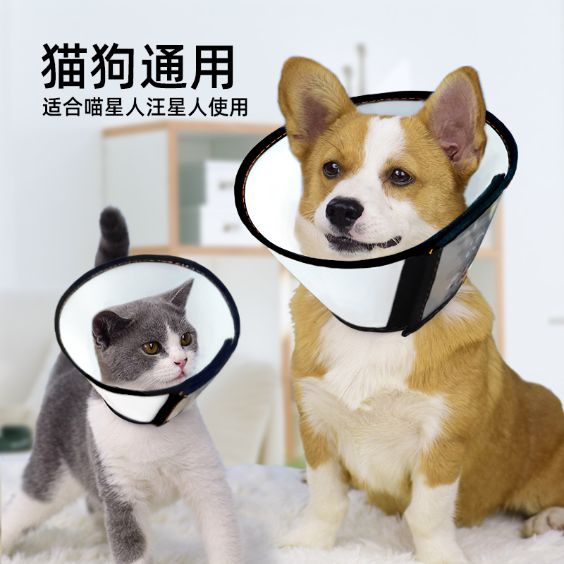 Elizabeth lap dog kitty neckline neck sleeve anti-licking ring Soft Ilie Queen Elizabeth Circle Pet Headgear Supplies